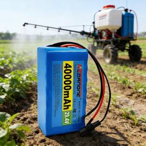 전문가용 24V 10Ah 리튬 배터리 7S3P 팩 BMS 포함 전동 공구 휠체어 장난감 자동차보증