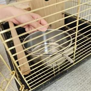 걸이형 스텐 앵무새목욕 밥그릇 앵무새 모이통 중