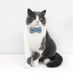 강아지목줄 애견 데님 넥타이 목줄 강아지 고양이 목걸이 리본목줄