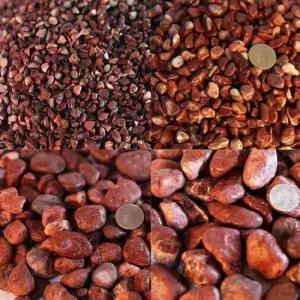 홍자갈 (어항 수족관 바닥재 장식 조경 자갈) 3kg전후