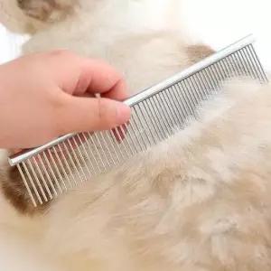 고양이빗 애견 애묘 미용 빗질용 콤빗 중형 강아지 눈곱빗