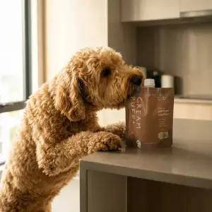 케일린여 퍼퓸 룸스프레이 리필 500ml 크림퍼프