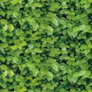 입체 돌 벽돌무늬 셀프 3D벽지 경량 인테리어