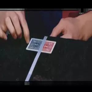 마술 트릭 카드덱 TRUECOLORS 배색변환 근거리 퍼포먼스 프로페셔널 소품