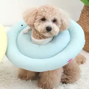 고양이쿠션넥카라 고양이 쿠션 넥카라 블루 M 강아지 깔대기 핥음방지 고양이카라