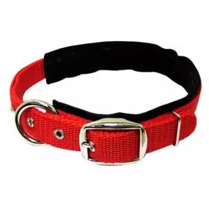 JH 나일론 목테(특대)고양이줄 애완견 애견가슴 용가슴 용목 강아지용목 목줄
