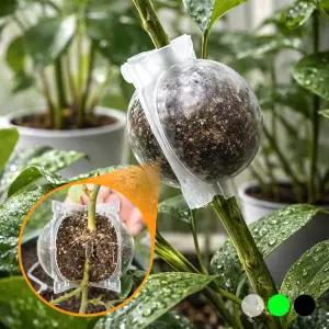 원예용 식물 번식 취목볼 장미 몬스테라 로즈마리 취목 삽목 루팅볼 접목 볼 나무 공중뿌리 이식 케이스