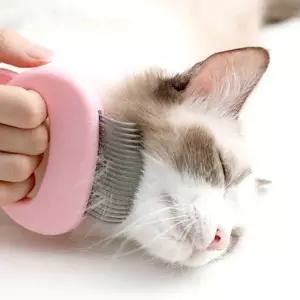 (애구애구) 강아지 고양이 빗 털제거 브러쉬 쓰담빗 관리 털빗 애견 반려동물 캣러쉬 개러쉬 개빗