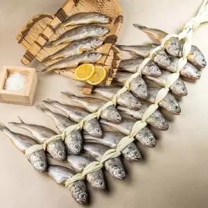 100 국내산 참조기 영광굴비 장대 1.6kg 20미 명품포장