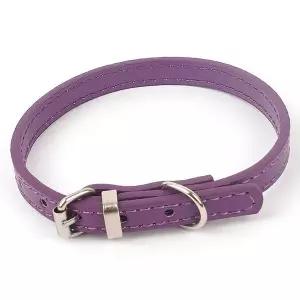 강아지 목줄 보라 애견 벨트 버클 줄 반려동물 고양이