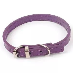 강아지 목줄 보라 애견 벨트 버클 줄 반려동물 고양이