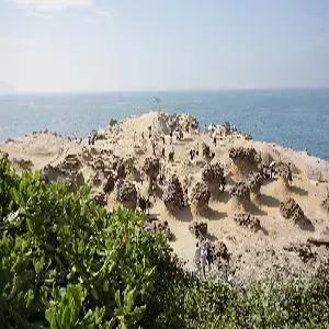 [하나투어X중식여신][오후출발]대만/야류/지우펀/우라이 4일 #101타워#케이블카#발마사지#까르푸자유쇼핑