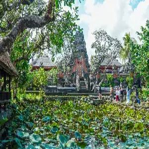 [제주출발][4명이상 출발가능] 발리 5일 #인디고 발리 #선셋디너크루즈 #동부+남부+우붓투어 #발리스윙 #마사지2시간 #특식 #런치 리조트식 1회+애프터눈티 1회