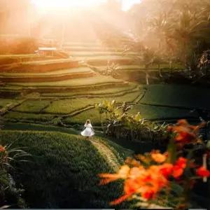 [제주출발][4명이상 출발가능] 발리 6일 #포시즌 짐바란 #내맘대로 선택 #식사UP #아로마마사지 2시간