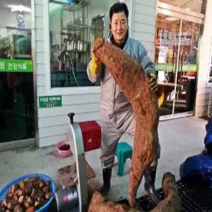 샘물웰빙 지리산야생칡즙 생칡즙 칡착즙 100ml x 30팩 x 2박스(총60팩)