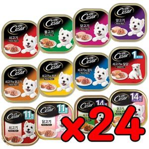 시저캔 1박스(100gx24개)