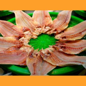 제주 동문시장 말린 옥두어 10미외 옥돔 저염 특산물 반전조 건조 손질 선물 손님접대