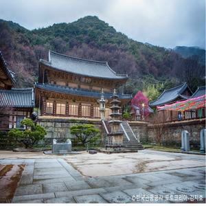 [KTX-1박](NEW)지리산에서 남해까지~ 구례 화엄사·하동케이블카·해금강