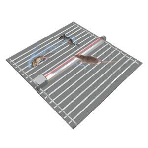 전기 쥐덫 쥐퇴치기 목책기 감전 박멸 트랩 청결 해충 소형 쥐잡이 식당 잡기 가정용 조류