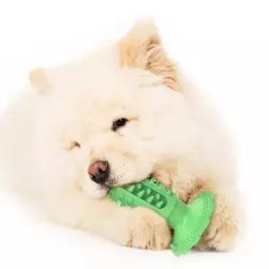 애견 삑삑이 치석제거 치카토이 강아지셀프칫솔