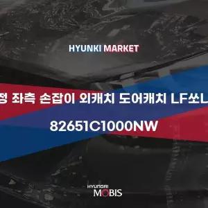 [현대모비스]순정 좌측 손잡이 외캐치 도어캐치 LF쏘나타 (82651C1000NW) 현대모비스부품몰