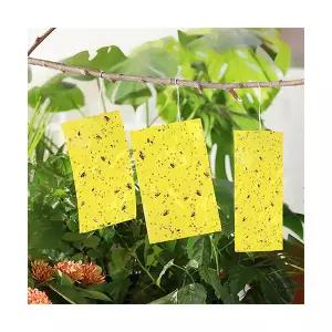 과수원 대형 끈끈이 파리 초파리 해충 진드기 벌레 퇴치 과수나무 원예 식물 뿌리파리 트랩