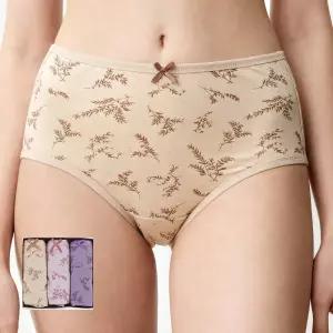 제임스딘 여성 면스판 60수 맥시 삼각 팬티 3매입 세트 JHWPBZA1