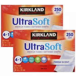 커클랜드 섬유유연제 종이형 250매 x 2박스/코스트코