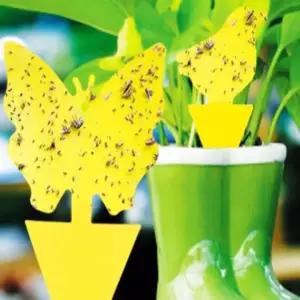 꽂이형 초파리잡기 개미끈끈이 끈끈이트랩 벌레퇴치기 끈끈이포충기