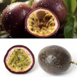 국산패션후르츠(백향과)1kg 열대과일 패션푸르츠