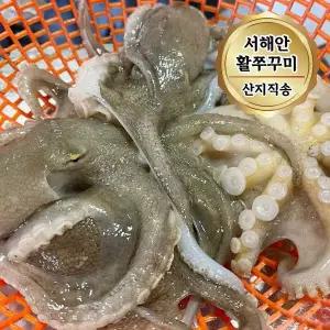 서해안 자연산 활 쭈꾸미 1kg (7-13미) 빙장포장