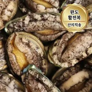 산지직송 완도 활전복 특대사이즈 1kg (9~10미) 산소포장