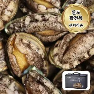 산지직송 완도 활전복 특대사이즈 1kg (9~10미) + 부직포선물포장