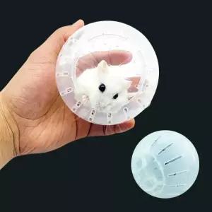 햄스터 놀이터 헬스 쳇바퀴 볼 방 장난감 운동 마우스 집꾸미기 기니피그