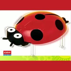 무당벌레 모터 진동 로봇 장난감 문제해결력 유치원 어린이과학 두뇌발달 관찰 사고력