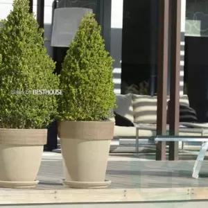 위랜드 이탈리아 테라코다 토분 35x30cm 모카(그레이) 빈티지토분 다육이화분 선인장화분