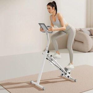 스텝퍼 가정용 운동기구 스 장비 홈트 B40 세안리 워킹 화이트 걷기 워커 체형관리