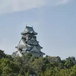 [석조패턴] 오사카 자유여행 4일 #소테츠 그랜드 프레사 난바 #위치최고 #난바숙박 #스탠다드더블룸 #여행자보험 #간사이즐기기