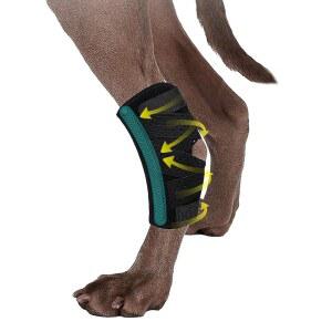 Snugrance 다리 ACL 염좌 발목용 도움 강아지 사이즈 안정성 방지 안정화 포함 상실에 부상 교정기 엉덩이 브래킷 CCL