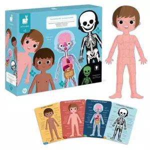 입체모형 자노드 과학교구 에듀 퍼즐_인체 탐구 학습 4in1