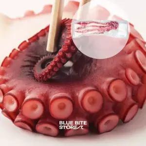 자숙 문어 다리 300g 돌문어 피문어 냉동 숙회