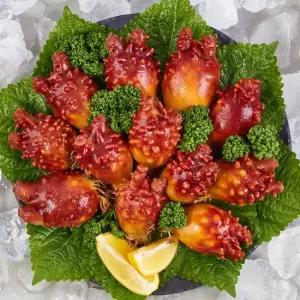 바다향 가득 통영 산지직송 활멍게 1kg 2kg