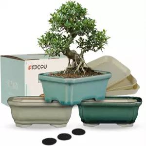 FFPOPU 3팩 세라믹 분재 냄비 배수 트레이 얼음 금이 간 유약이 들어간 6인치 귀여운 나무 데스크탑 장식용