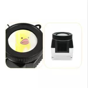 엘림숲 루페 루패