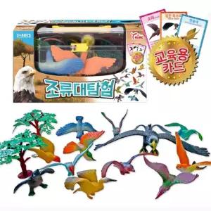 유아 교육용 조류 새모형 피규어 그림카드 세트 장난감 키즈 완구 초등학교 동물