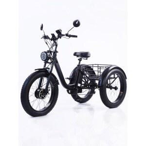 성인 전동 세발자전거 배터리 네이 배터리X 36V 스쿠터 등하원용