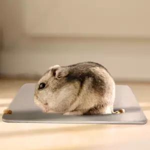 강아지 배변패드 애완동물 알루미늄 쿨패드 소형 S 여름 냉감 방석