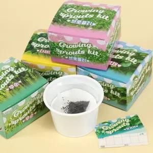 새싹 키우기 재료 세트 취미생활 채소 관찰 1박스 12개