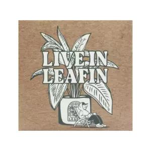 리핀 실내 고체탈취제 300g 1박스