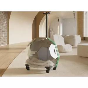 투명 고양이 강아지 대용량 휴대용 이동장 백팩 여행 산책 반려동물 좋은 외출용 배낭